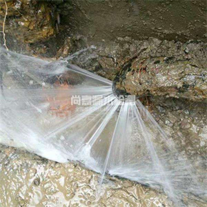皋兰自来水管道漏点检测
